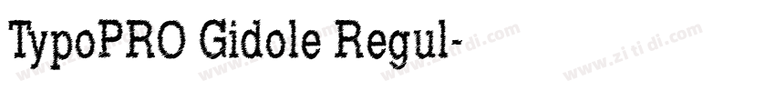 TypoPRO Gidole Regul字体转换